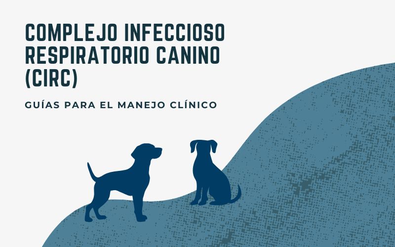 Guías para el manejo clínico del complejo infeccioso respiratorio canino (CIRC)
