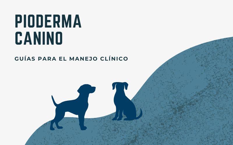 Guías para el manejo clínico del pioderma canino