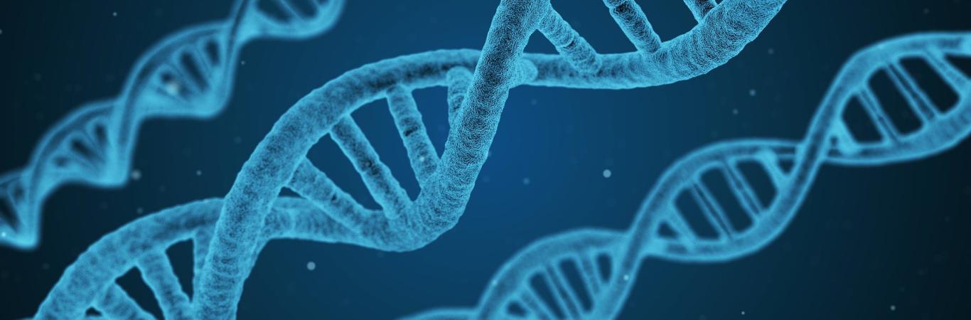 Plataforma de Genómica y Bioinformática