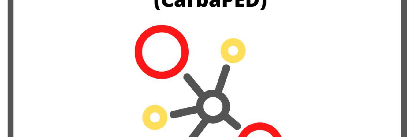 Red multicéntrica en España sobre las infecciones por bacterias gramnegativas con resistencia a carbapenémicos en pediatría (CarbaPED)