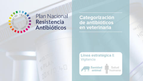 Categorización de antibióticos en veterinaria
