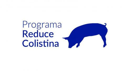 Primer informe de resultados del Programa Reduce Colistina en porcino