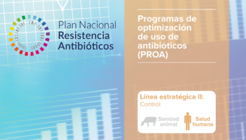 Programas de Optimización del Uso de Antibióticos (PROA)