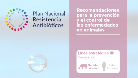 Recomendaciones para la prevención y el control de las enfermedades en animales