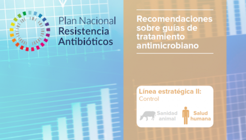 Recomendaciones sobre guías de tratamiento antimicrobiano