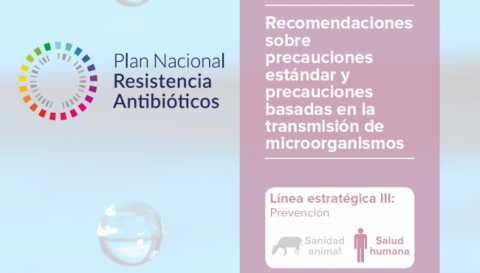Recomendaciones sobre precauciones estándar y precauciones basadas en la transmisión de microorganismos