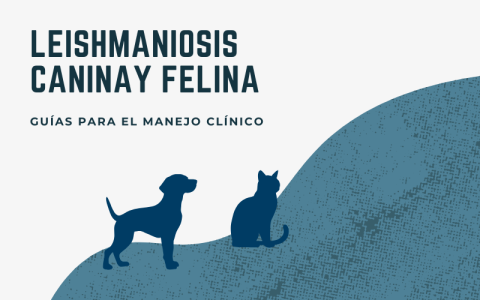 El PRAN publica guías de manejo clínico para un uso prudente de antimicrobianos frente a la leishmaniosis canina y felina