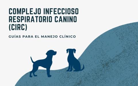 Guías para el manejo clínico del complejo infeccioso respiratorio canino (CIRC)