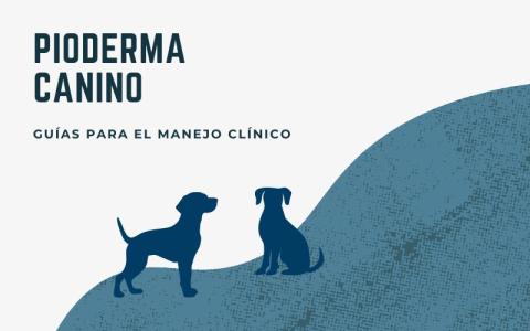 Guías para el manejo clínico del pioderma canino