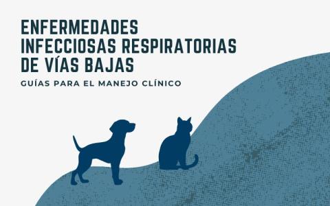 Guías para el manejo clínico de las enfermedades infecciosas respiratorias de vías bajas