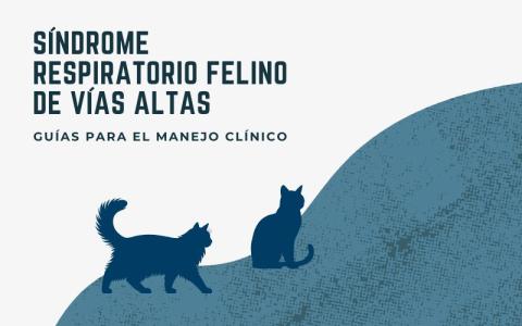 Guías para el manejo clínico del síndrome respiratorio felino de vías altas