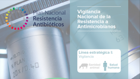 El PRAN publica el documento marco para la Vigilancia Nacional de la Resistencia a los Antimicrobianos